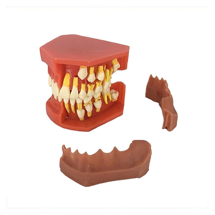 美品★歯科器材MAP System JP-KIT2 美品☆歯科器材MAP System JP-KIT2 商品検索 - 大東京歯科用品商